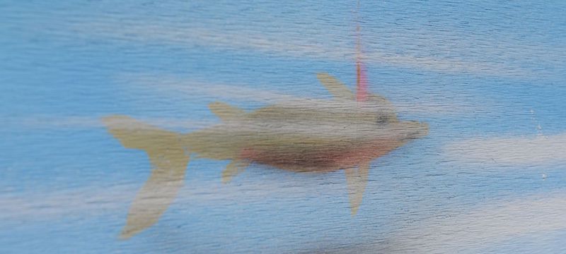 Ein Fisch namens Wanda